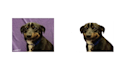 remove and change backround in photoshop