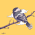 create animal and pet illustration