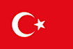 translate english to turkish