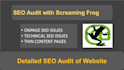 provide a complete screaming frog SEO audit report