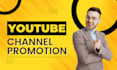 do organic youtube promotion of your video
