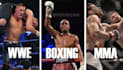 write boxing, MMA, ufc, wwe blogs, articles and youtube scripts