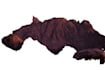 remove background of images