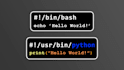create simple python or bash scripts