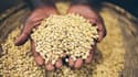 write articles related to agriculture and food security
