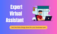 do professional virtual assistant work for your business