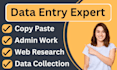 do data entry, copy paste, web research, scrape, typing work, excel data entry