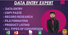 do fast data entry, pdf to excel, web research andcopy paste