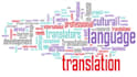 provide professional and accurate translations