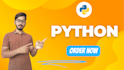 create custom python programming, web programming, python tasks