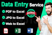 do data entry, copy paste, typing, PDF to excel, excel data entry