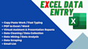 do excel data entry, typing, formatting, and report generation