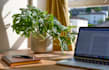 do research summary in apa, harvard, mla, and chicago