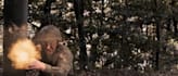 do gun vfx, muzzle flashes and bullet hits for you