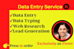 provide fastest excel data entry collection internet research data typing