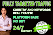 provide daily 1000 fully targeted website traffic
