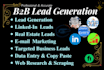 do b2b lead generation, linkedin leads, data entry and company research for you