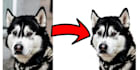 remove background for pictures