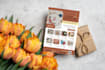 modern and elegant flyers and brochures