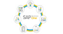 provide solutions and training regarding sap business one