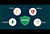 develop apis with mysql and mongodb in node js, react js
