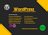 revamp, redesign, customize and fix css issues wordpress website
