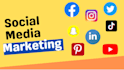 do professional social media management to grow your brand