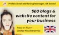 write you an SEO blog post for your business website