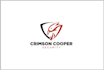 create crypto, cyber security, tech and technology logo