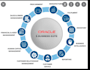 provide oracle ebs technical and functional  consultancy