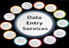 fastest data entry in one day and research