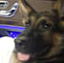edit anything you want