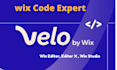 develop wix website using wix velo, wix code and databases