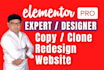 design, redesign, duplicate or copy clone website using elementor pro