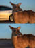 remove unwanted objects in photos