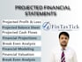 build budgets and financial model and business plan
