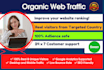 bring real visitors, targeted web traffic, improve web site ranking