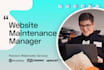 be webmaster to your wordpress or opencart website