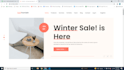 developed spa in vue js and laravel