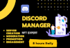 be your nft discord community manager or moderator