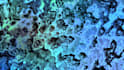 code a shader or compute shader for your unity project
