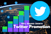 do organic twitter marketing and promotion
