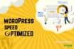 do wordpress speed optimization by pagespeed insights or gtmetrix