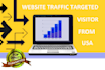usa keyword targeted organic website traffic