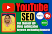 be youtube video SEO expert to improve your top ranking