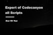 install, customize, reskin php codecanyon script