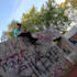 ich designe eure bilder