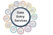 do data entry, web research and data cleaning