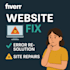 fix any website bugs or errors professionally