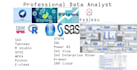 do your analysis using SAS,spss,r,python,eviews,stata,excel